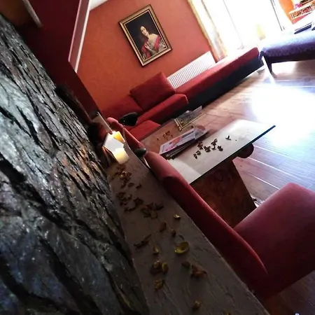 Hotel Vila Zlatibor *